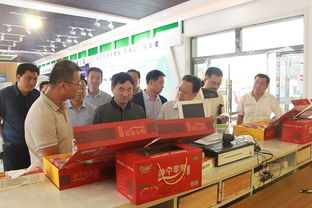 國家發(fā)改委來我縣調(diào)研蘋果產(chǎn)業(yè) 生產(chǎn)創(chuàng)新與電商融合助力市場變革